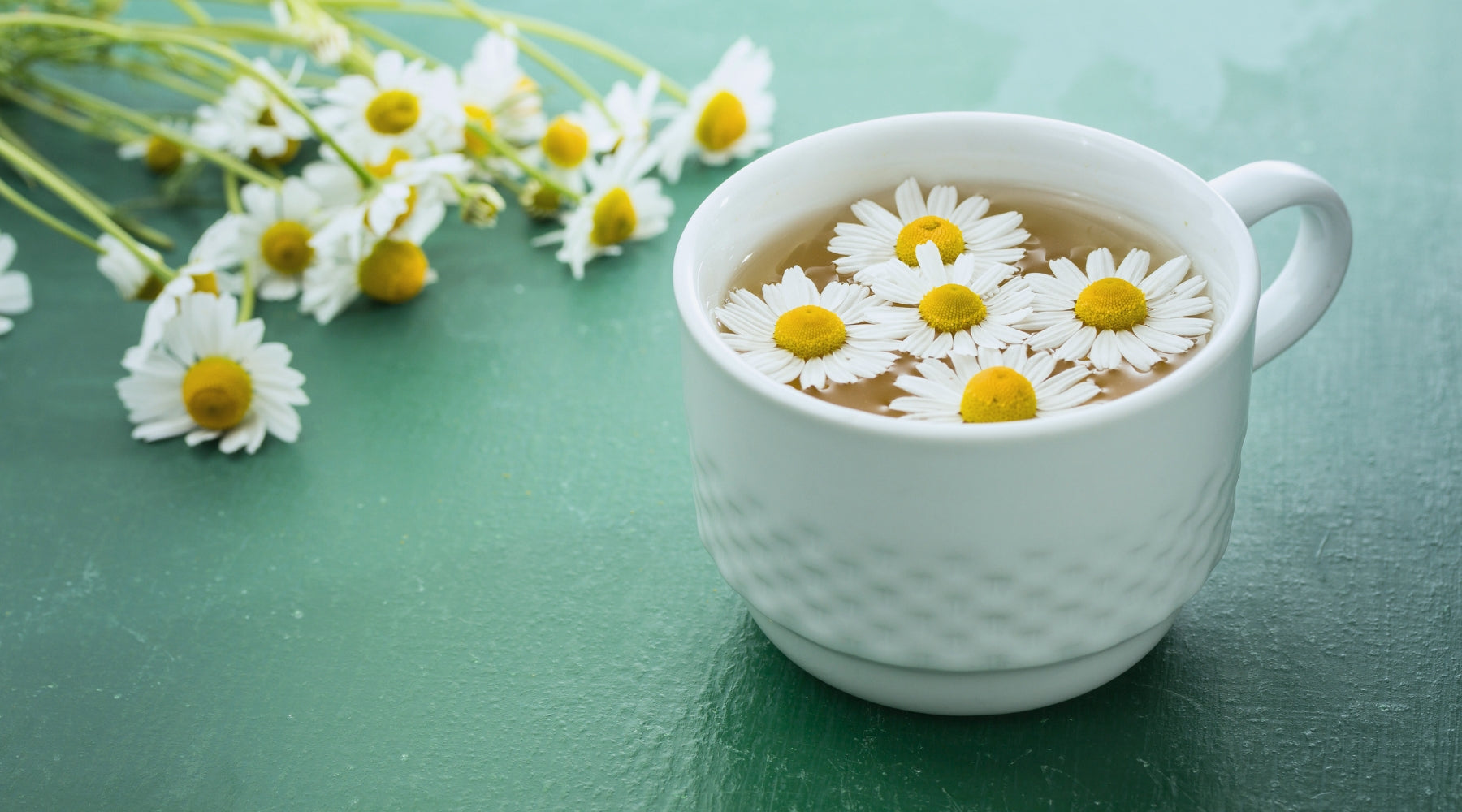 Does Chamomile Tea Make You Sleepy?